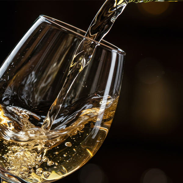 Saucy Kitchen Moments